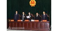 Các nhà thầu dùng thủ đoạn thông thầu? Có phạm pháp? 