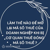 Làm thế nào để mở lại mã số thuế của doanh nghiệp khi bị cơ quan thuế đóng mã số thuế ?