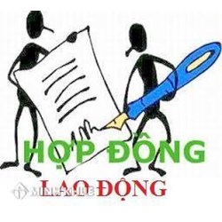 Căn cứ lương trên hợp đồng lao động (Không bao gồm phụ cấp) để đóng bảo hiểm xã hội có đúng luật?