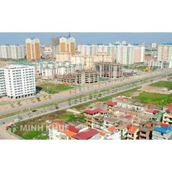 Đất nông nghiệp khai hoang trước năm 2000 có được bồi thường không ?