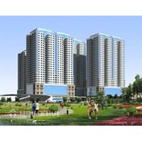Việt Kiều có 2 quốc tịch có thể mua đất và có quyền sử dụng đất dài hạn không?