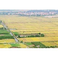 Bố mẹ cho đất nhưng anh trai lại có tranh chấp ?
