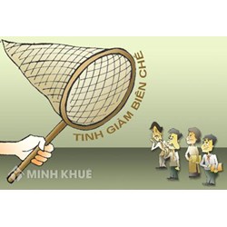 Bị tinh giảm biên chế dù được đào tạo đúng chuyên ngành thì phải làm như thế nào?