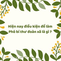 Hiện nay điều kiện, tiêu chuẩn để làm Phó bí thư đoàn xã là gì?