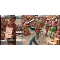 Sử dụng lao động là người chưa thành niên có hợp pháp hay không ?