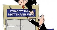 Một công ty trách nhiệm hữu hạn một thành viên có thể có 02 giám đốc không?
