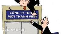 Một công ty trách nhiệm hữu hạn một thành viên có thể có 02 giám đốc không?