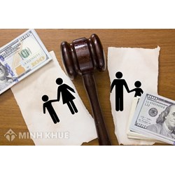 Dịch vụ luật sư đại điện tranh tụng trong các vụ án hôn nhân gia đình tại Tòa án