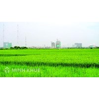 Chuyển một phần đất nông nghiệp sang phi nông nghiệp thủ tục thế nào ?
