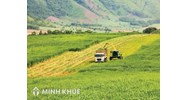 Thời hạn sử dụng đất trồng cây lâu năm còn 38 năm thì có làm thủ tục chuyển nhượng quyền sử dụng được không ?   