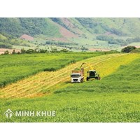 Thời hạn sử dụng đất trồng cây lâu năm còn 38 năm thì có làm thủ tục chuyển nhượng quyền sử dụng được không ?   