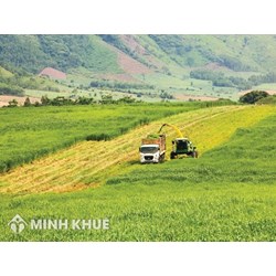 Thời hạn sử dụng đất trồng cây lâu năm còn 38 năm thì có làm thủ tục chuyển nhượng quyền sử dụng được không ?   