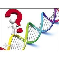 Đảng viên có con ngoài giá thú thì bị xử lý như thế nào?