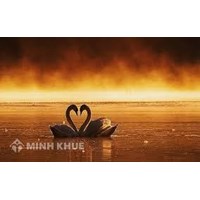 Những người hạnh phúc, họ tư duy như thế nào ?