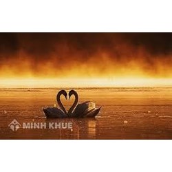 Những người hạnh phúc, họ tư duy như thế nào ?
