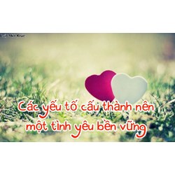 Các yếu tố cấu thành nên một tình yêu bền vững