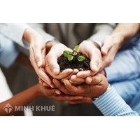 Nên nghỉ hưu tại thời điểm nào để hưởng chế độ hưu trí thì có lợi hơn?  