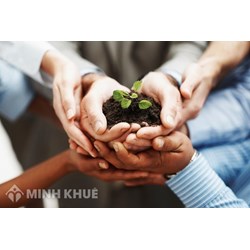Nên nghỉ hưu tại thời điểm nào để hưởng chế độ hưu trí thì có lợi hơn?  