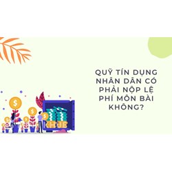 Quỹ tín dụng nhân dân có phải nộp lệ phí môn bài không ?
