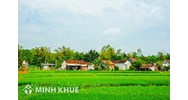 Hướng dẫn giải quyết tranh chấp đất vườn không có giấy chứng nhận quyền sử dụng đất?