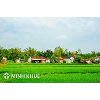 Hướng dẫn giải quyết tranh chấp đất vườn không có giấy chứng nhận quyền sử dụng đất?