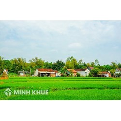 Hướng dẫn giải quyết tranh chấp đất vườn không có giấy chứng nhận quyền sử dụng đất?
