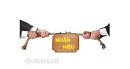 Phân tích căn cứ xử lý hành vi xâm phạm quyền sở hữu trí tuệ với nhãn hiệu?