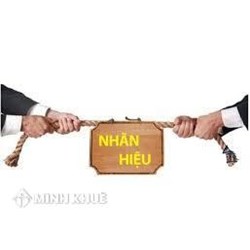 Phân tích căn cứ xử lý hành vi xâm phạm quyền sở hữu trí tuệ với nhãn hiệu?