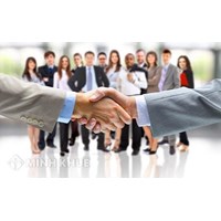 Thời điểm thành lập tổ chuyên gia đấu thầu là khi nào?