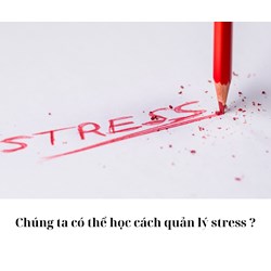 Chúng ta có thể học cách quản lý stress ?