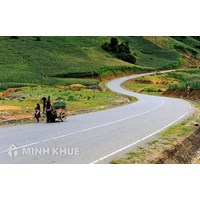 Đi vào đoạn đường cong không giao nhau với đường cùng mức có phải bật tín hiệu xin rẽ ?