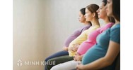 Chế độ thai sản khi công ty phá sản, giải thể hoặc tạm ngừng hoạt động ?