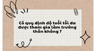 Có quy định độ tuổi tối đa được tham gia làm trưởng thôn không?