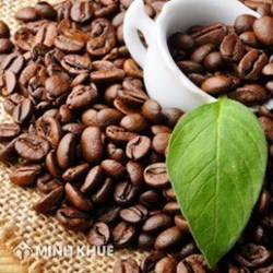 Nhập cà phê hột chế biến và đóng nhãn mác riêng thì có vi phạm luật sở hữu trí tuệ không ?