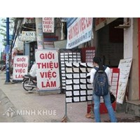 Sinh viên đi xin việc bị lừa đảo phải giải quyết như thế nào ?