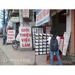 Sinh viên đi xin việc bị lừa đảo phải giải quyết như thế nào ?