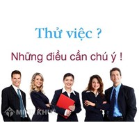 Phải làm thế nào để không bị khấu trừ 10% thuế Thu nhập cá nhân ?