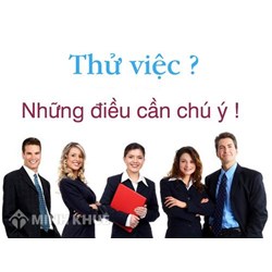 Phải làm thế nào để không bị khấu trừ 10% thuế Thu nhập cá nhân ?