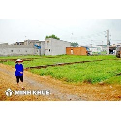 Đất nông nghiệp tại TP. HCM có được phép tách thửa?
