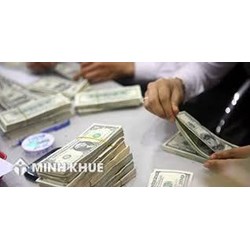 Nhà đầu tư Việt Nam đầu tư sang Mỹ thì thủ tục như thế nào ?