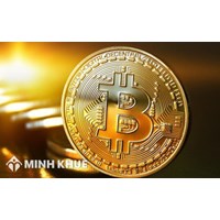 Kinh doanh daycoins tại Việt Nam không giấy phép kinh doanh có phạm pháp luật hay không?