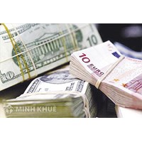 Hai công ty trong nước ký hợp đồng thanh toán bằng ngoại tệ thì có đúng luật không ?  