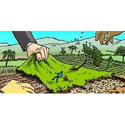 Đất trồng cây lâu năm có chuyển sang đất chăn nuôi được không ? Thủ tục chuyển đất trồng lúa sang đất trồng cây lâu năm ?
