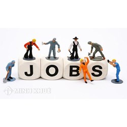 Người sử dụng lao động có nghĩa vụ công khai doanh thu với nhân viên không? 