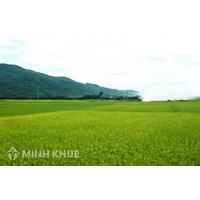 Hướng dẫn chuyển đổi đất nông nghiệp sang đất vườn và đất ở 