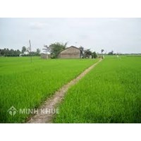 Chuyển đổi mục đích sử dụng đất nông nghiệp sang thổ cư thì mức phí như thế nào?