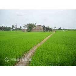 Chuyển đổi mục đích sử dụng đất nông nghiệp sang thổ cư thì mức phí như thế nào?