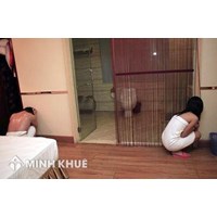 Mua dâm người trên 18 tuổi có phạm tội không ? Môi giới mại dâm bị phạt thế nào ?