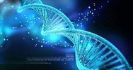 Có được ghi tên cha trên giấy khai sinh khi không có giấy xét nghiệm ADN ?