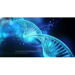 Có được ghi tên cha trên giấy khai sinh khi không có giấy xét nghiệm ADN ?